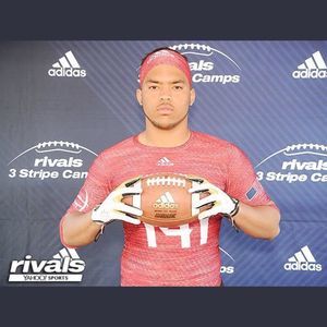 Meet your Posher, Damir